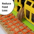 Hatching Time Cimuka Coturnix quail can be seen eating from feeding trough with feed guard to reduce feed loss.