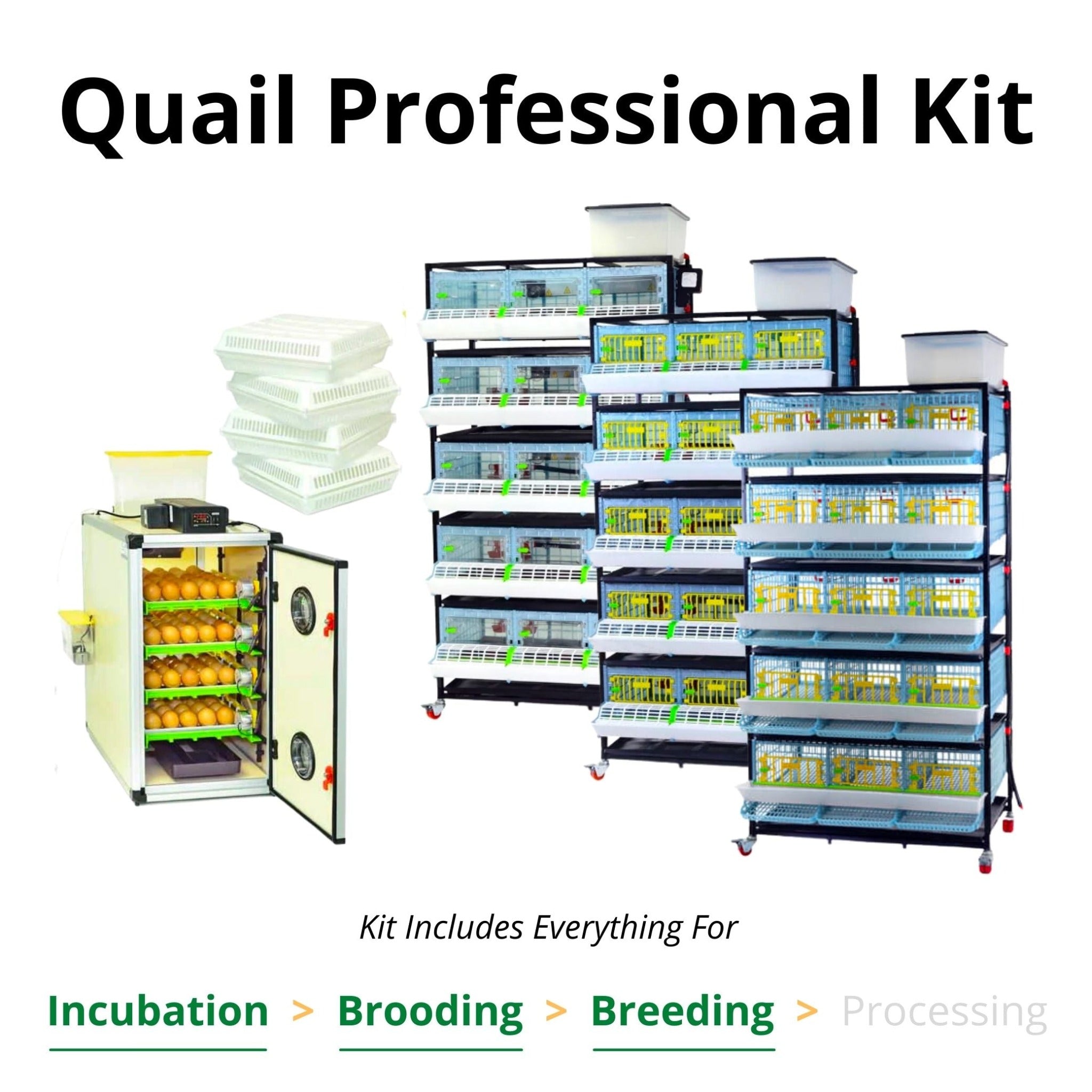 Hatching Time Cimuka. Quail professional kit shown. CT120 incubator, 5 layer cb25 9" brooder, grow out pen and quail cage shown in image