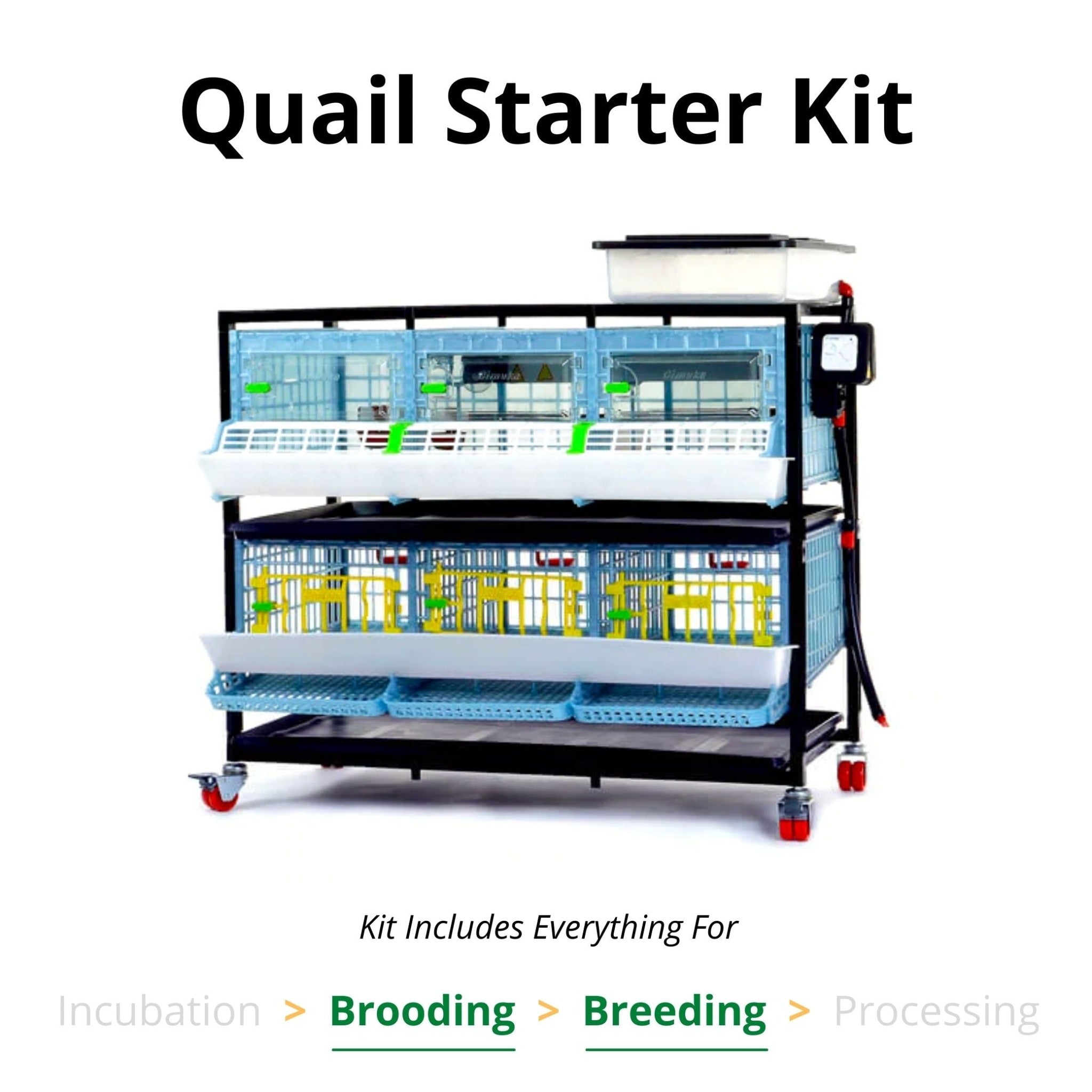 Hatching Time Cimuka. 9.5 inch chick brooder and quail cage combo is seen in image as a kit. Water tank can be seen on top of Quail starter kit. Text reads: Quail Starter Kit. Kit includes everything for Brooding to Breeding.