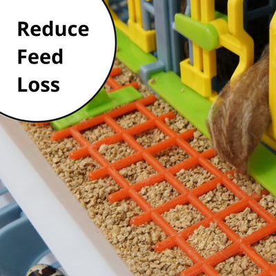 Quail Starter Kit Reduces Feed Loss - Hatching Time