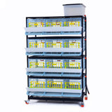 Hatching Time Cimuka 4 Layer Quail Cage front visible. Feeding trough is located on front of brooders.  Plastic doors with locks can be seen. Manure trays and egg collection roll-out trays visible on front. Quail Cages are on Metal frame with rolling casters for mobility.