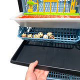 Hatching Time Cimuka Quail cage shown with pulled out Manure tray and visible roll-out egg trays with quail eggs. Full feeding trough in front of quail cage door.