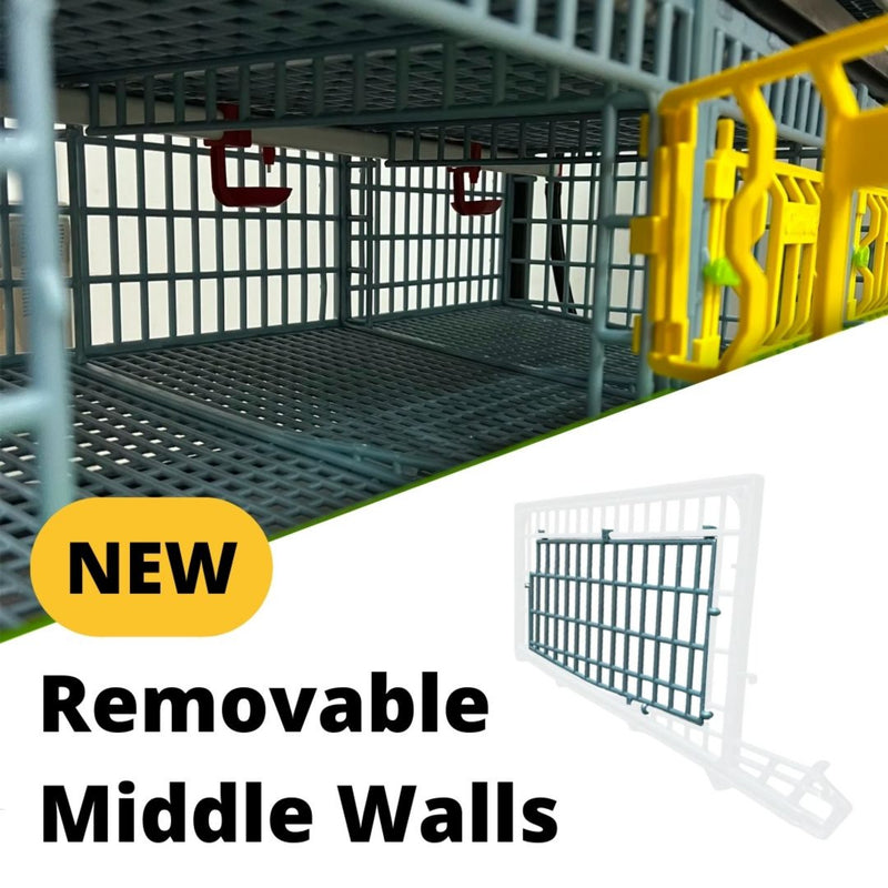 Removable Middle Wall Quail Cages