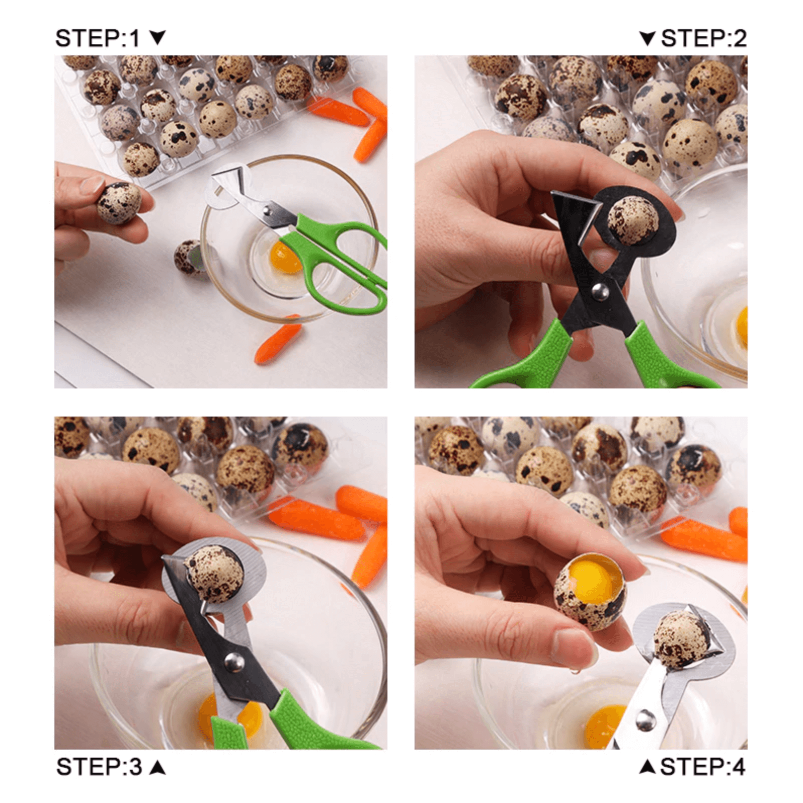 Quail Egg Scissors how to cut - Hatching Time 
