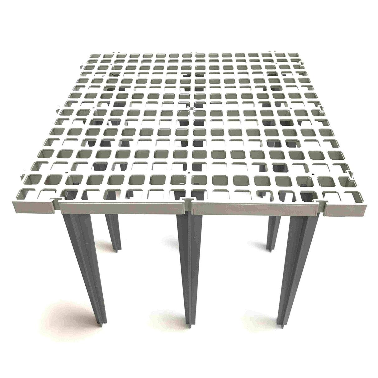 Hatching Time Cimuka. Slat flooring can be seen in image with Long Legs under.