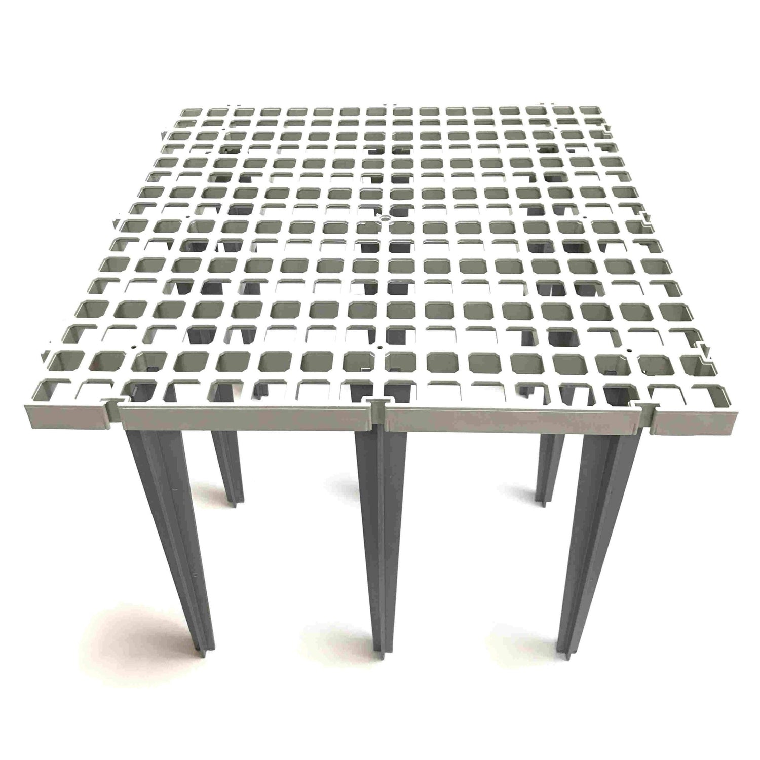 Hatching Time Cimuka. Slat flooring can be seen in image with Long Legs under.