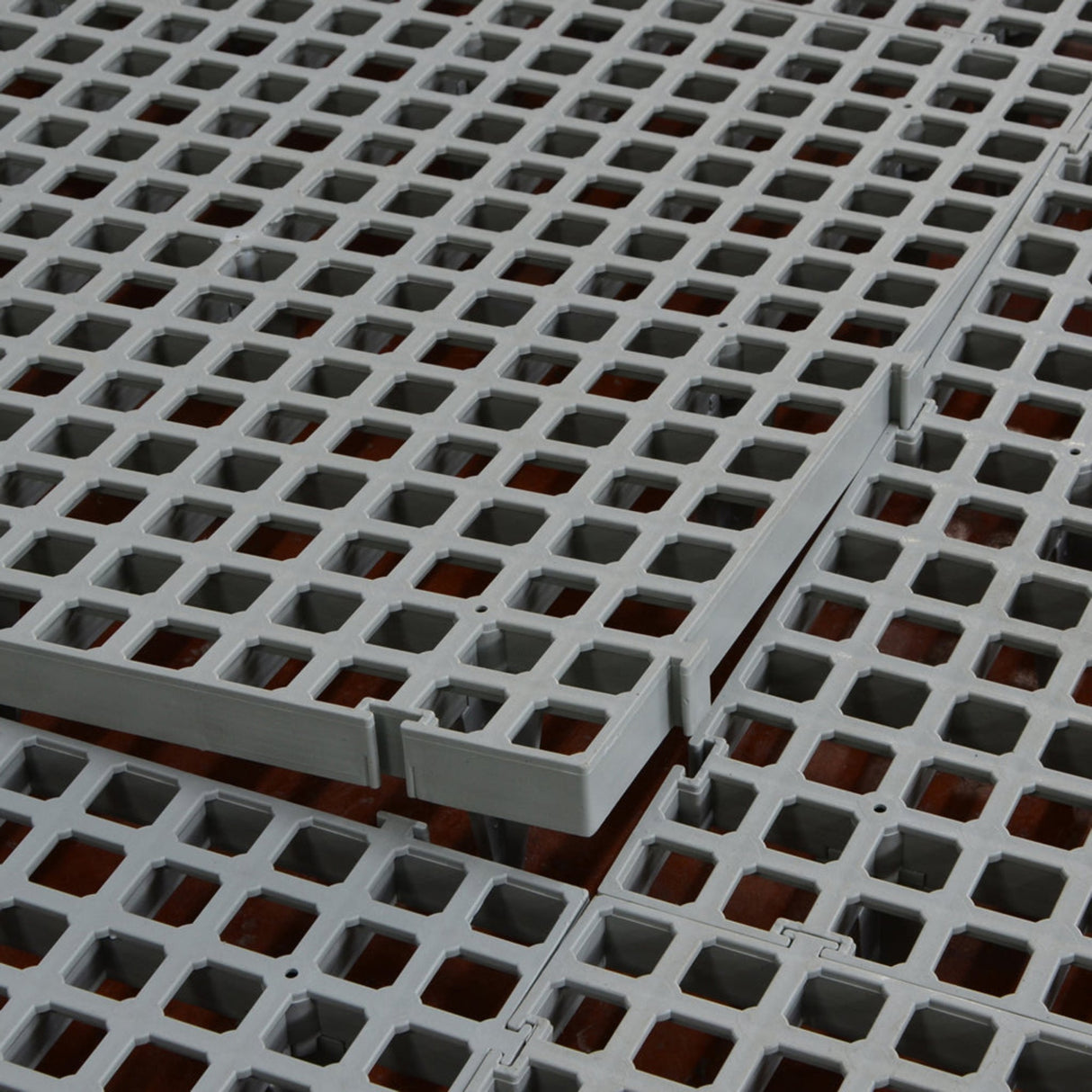 Hatching Time Cimuka. Slat flooring can be seen being pieced together. 