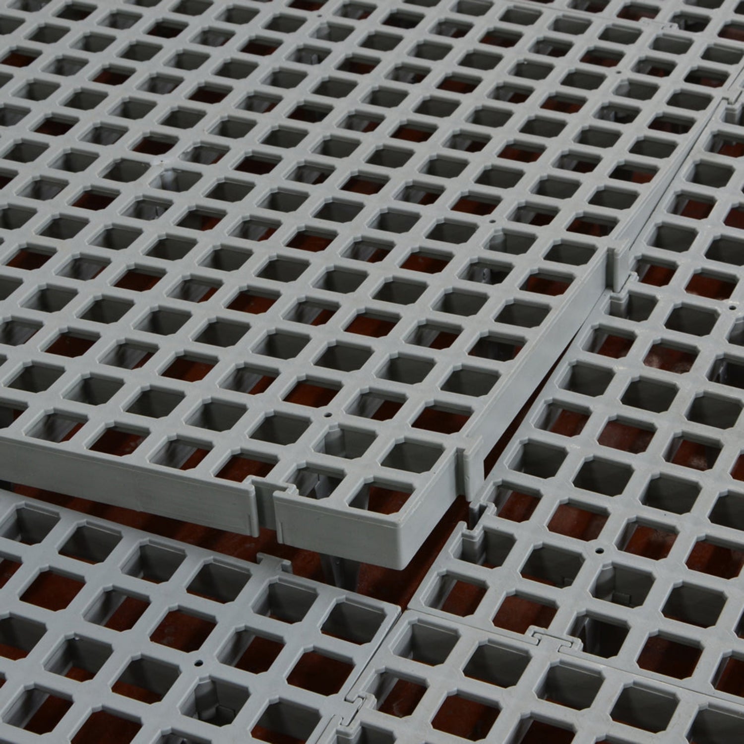 Hatching Time Cimuka. Slat flooring is seen with slots being lined up for assembly.