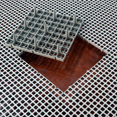 Hatching Time. Slat flooring square taken out of bigger section.