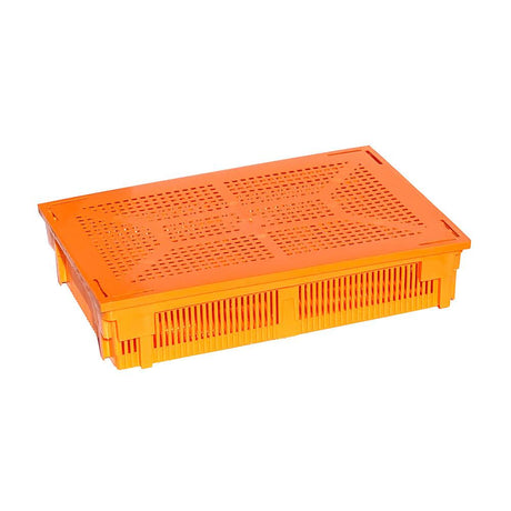 Single Chick Basket with Cover - Hatching Time