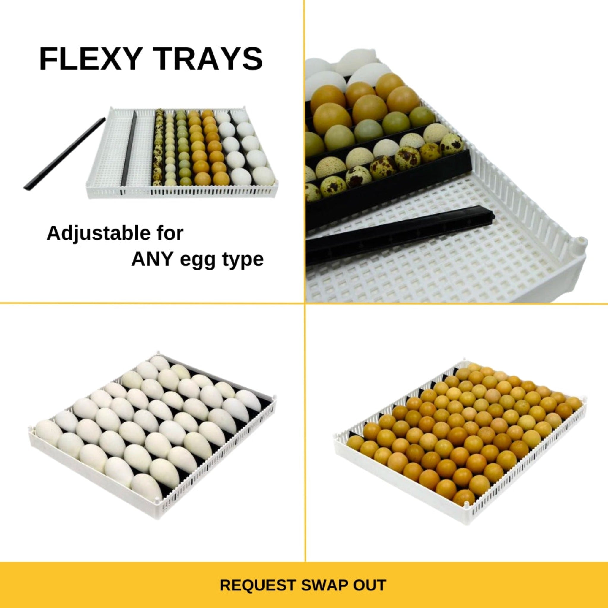 Flexy tray design can be seen in a 4 panel infographic. Image shows that flexy trays are adjustable for any egg type, chicken, quail, turkey, duck goose eggs all shown.