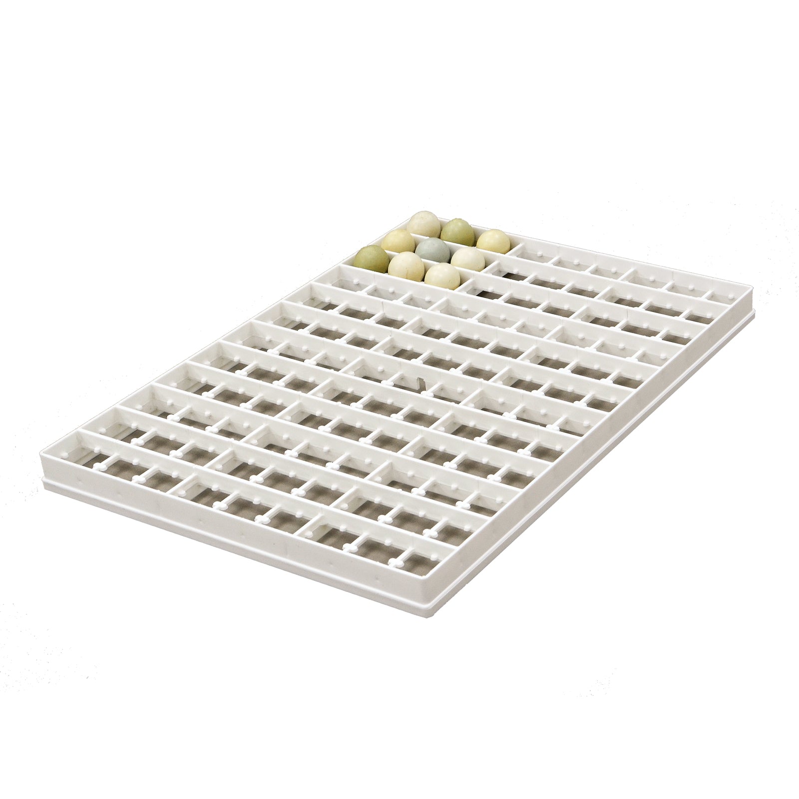 Egg Setter Tray - Pheasant - 108 Eggs - Hatching Time