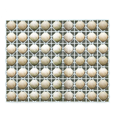 Egg Setter Tray - Duck/Turkey - 63 Eggs - Hatching Time