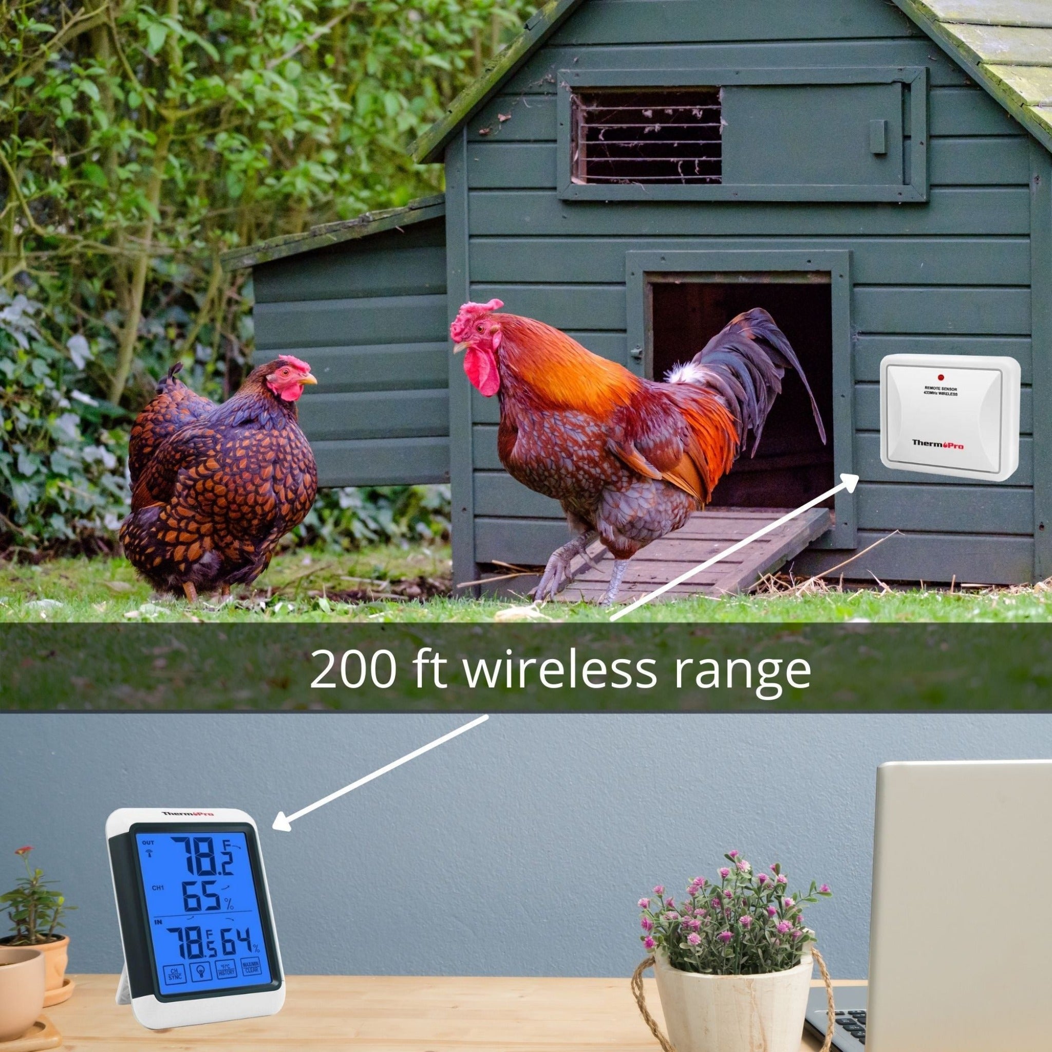 Hatching Time. Image shows sensor as it would be mounted outside of chicken coop. 2 chickens are by the outside of the coop. Image states digital sensor and display have 200ft wireless range.