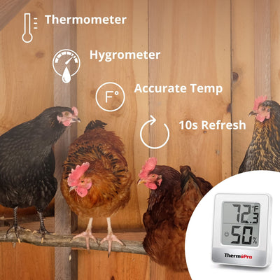Use Thermometer in Coop to Ensure Happy Hens - Hatching Time