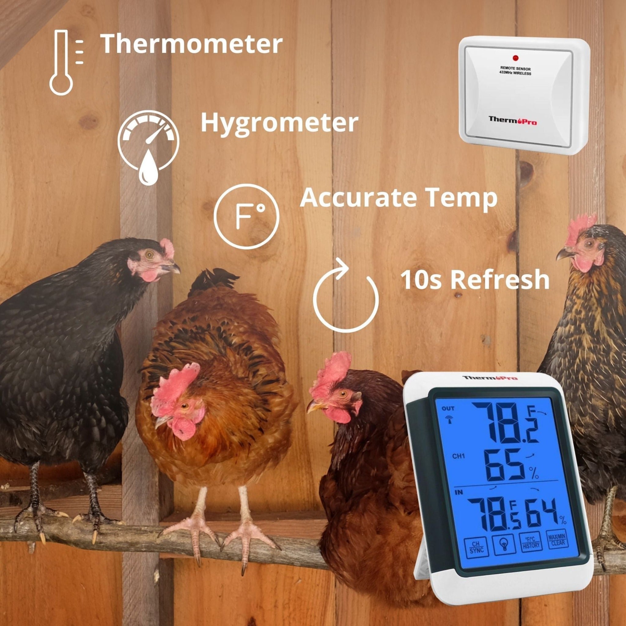 Hatching Time Therm pro. Infographic shows capabilities of sensor. Thermometer, hygrometer, accurate temperature and 10s refresh rate.