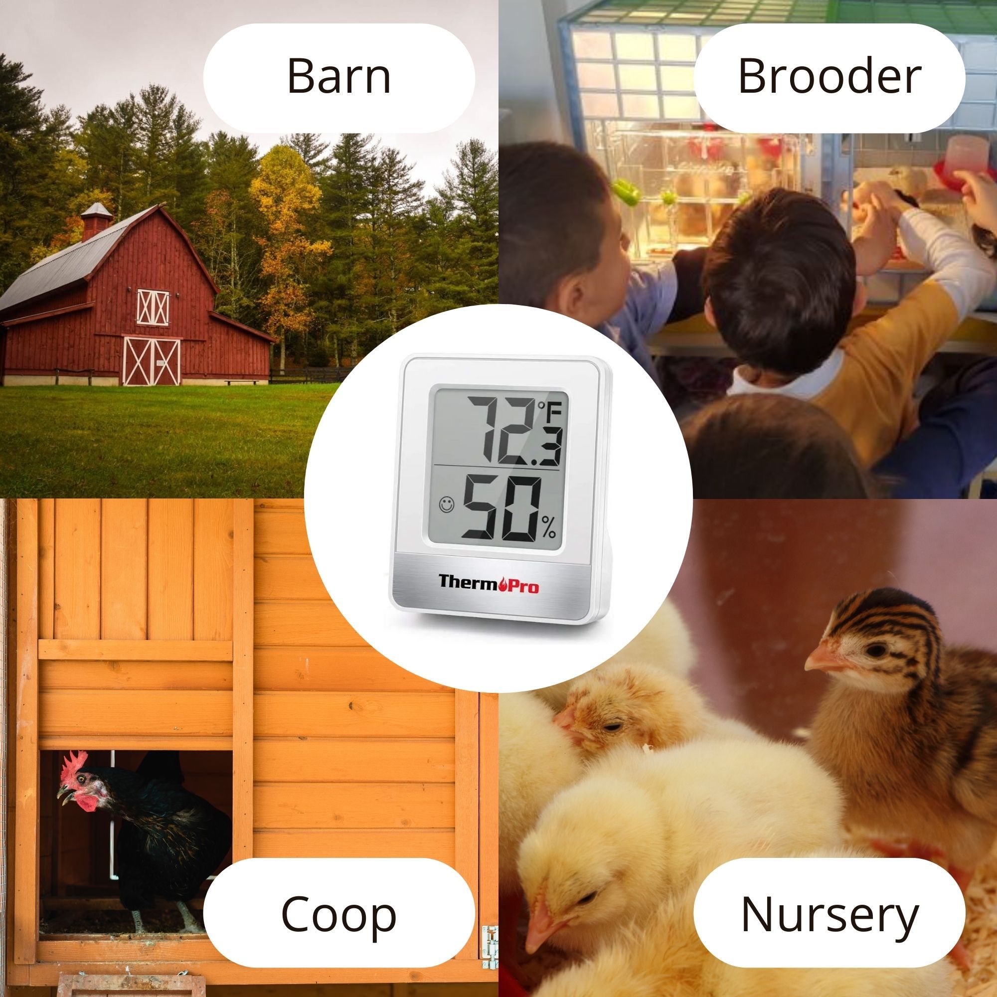 Use thermometer in barn, brooder coop or nursery - Hatching Time
