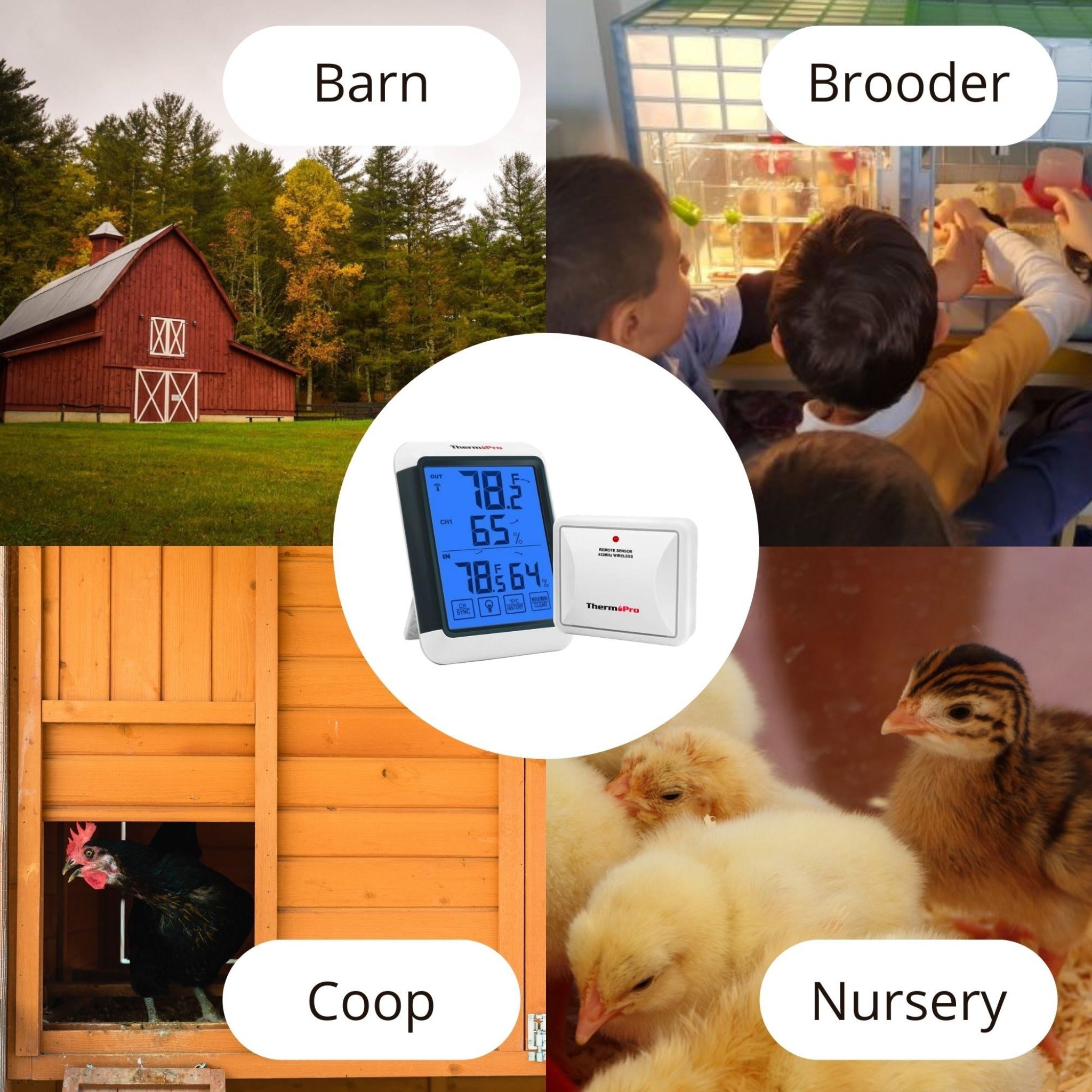 Hatching Time Term Pro. Infographic shows that sensor are good for Barn, brooder, coop and nursery monitoring of temperature and humidity levels.