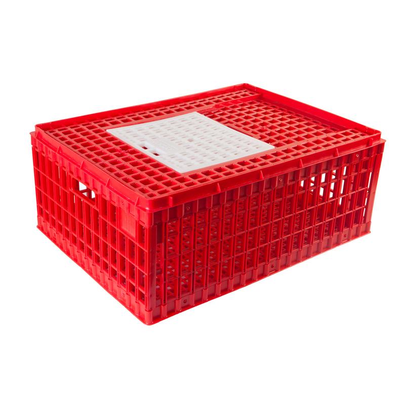 Small Transport Cage for Chickens and Game Birds - Hatching Time
