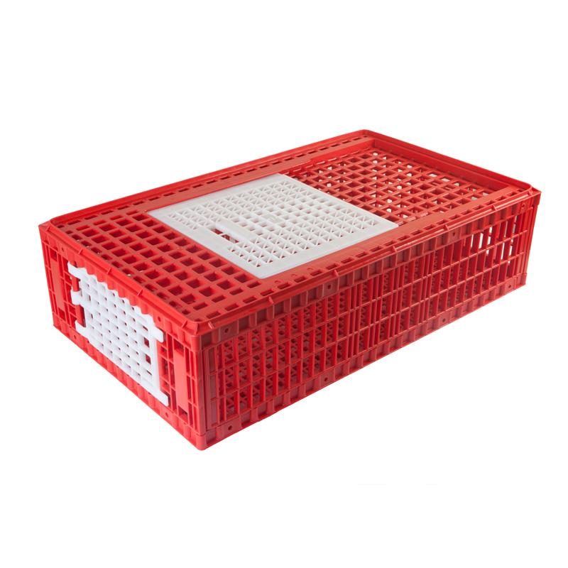 Transport Cage for Chickens and Game Birds - AYTAV / Hatching Time