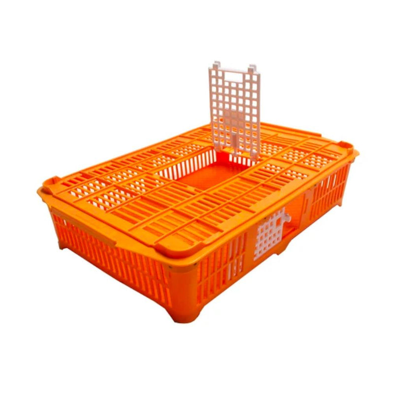 Transport Cage for Game Birds - AYTAV | Hatching Time