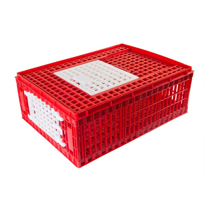 Small Transport Cage for Chickens and Game Birds - Hatching Time