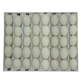 Egg Setter Tray - Goose - 40 Eggs - Hatching Time