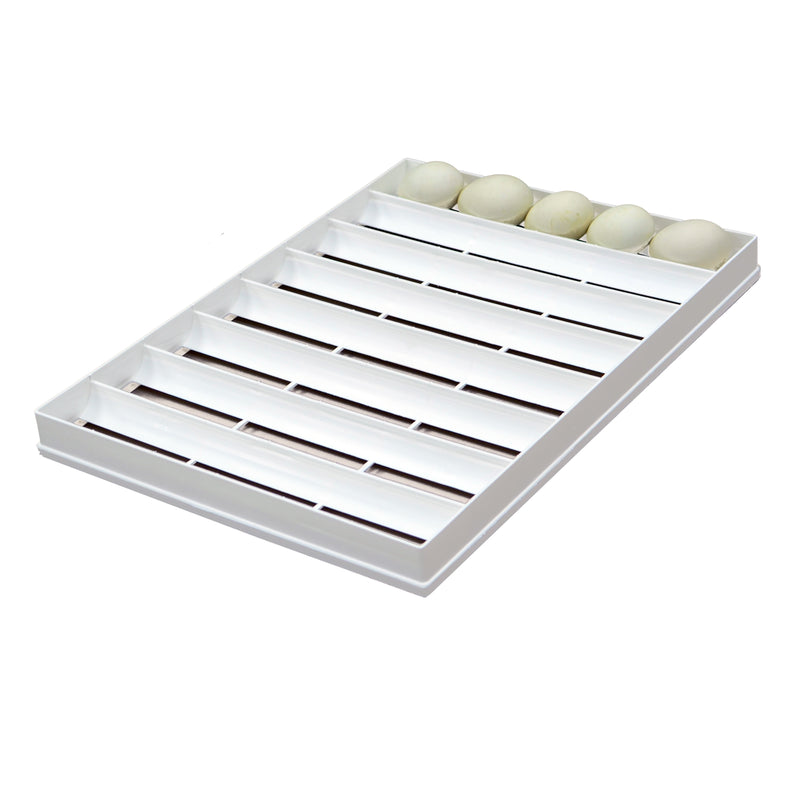 Egg Setter Tray - Goose - 40 Eggs - Hatching Time