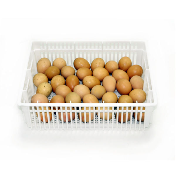 Egg Basket - 35 Eggs -(CS35Y) - Hatching Time