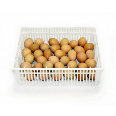 Egg Basket - 35 Eggs -(CS35Y) - Hatching Time