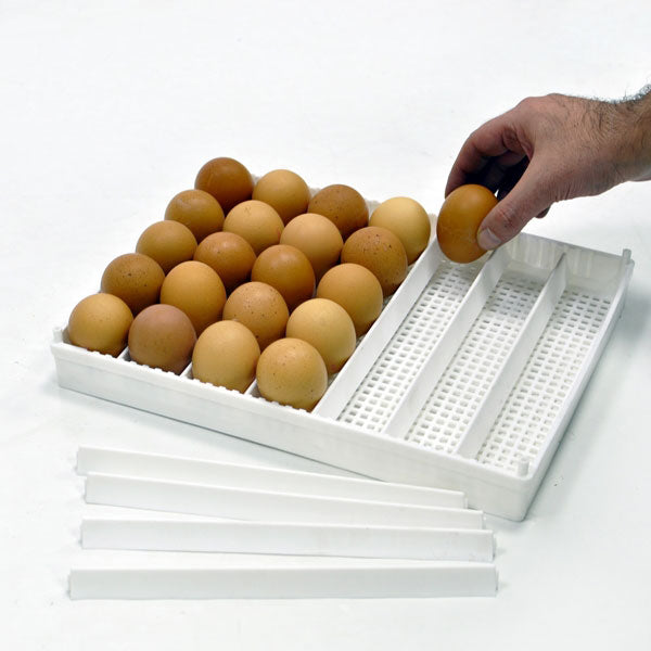 Egg Setter Tray -(Flexy35Y) - Hatching Time