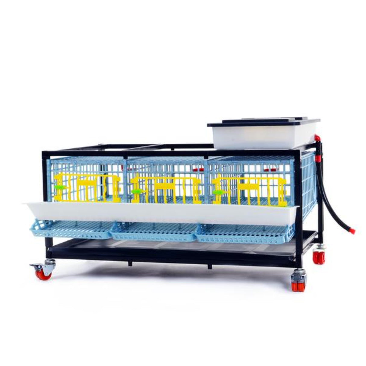 Hatching Time Cimuka 1 Layer Quail Cage front visible. Feeding trough is located on front of brooders.  Plastic doors with locks can be seen. Manure trays and egg collection roll-out trays visible on front. Quail Cages are on Metal frame with rolling casters for mobility.