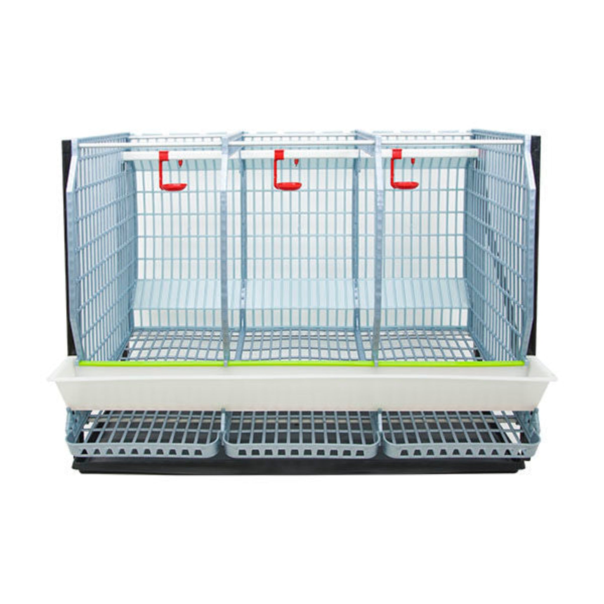 Hatching Time Cimuka. TYK60 22” Chicken cage 1 layer. Image shows chicken cage from front. Roof and front walls are removed to show inside of cage. Roll out egg trays can be seen on front under feeding trough. Automatic drinker system is seen on back wall of cage.