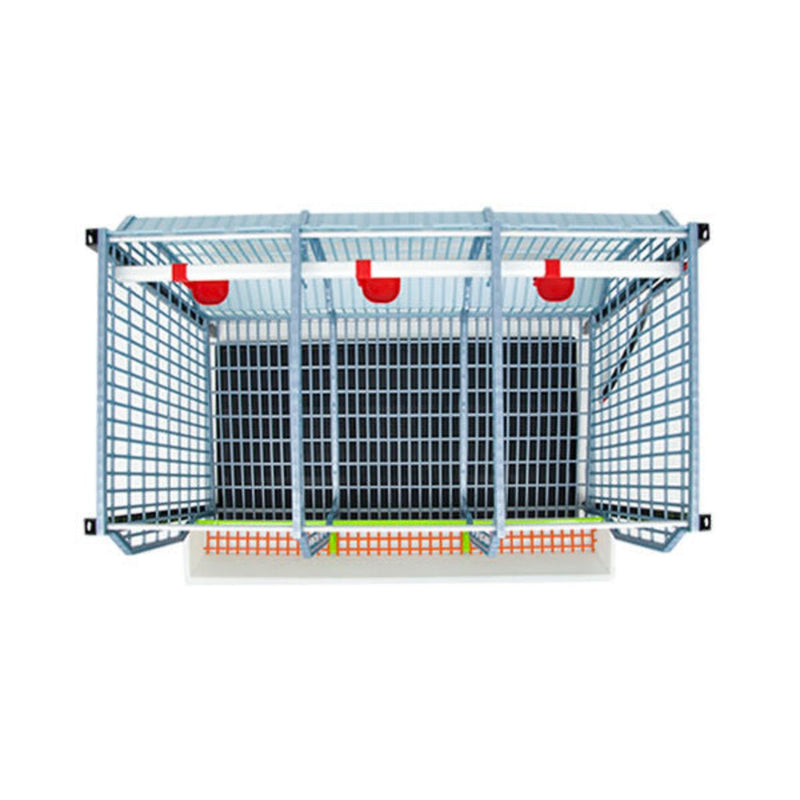 Chicken Cage - H: 22" Layer Addition - Hatching Time