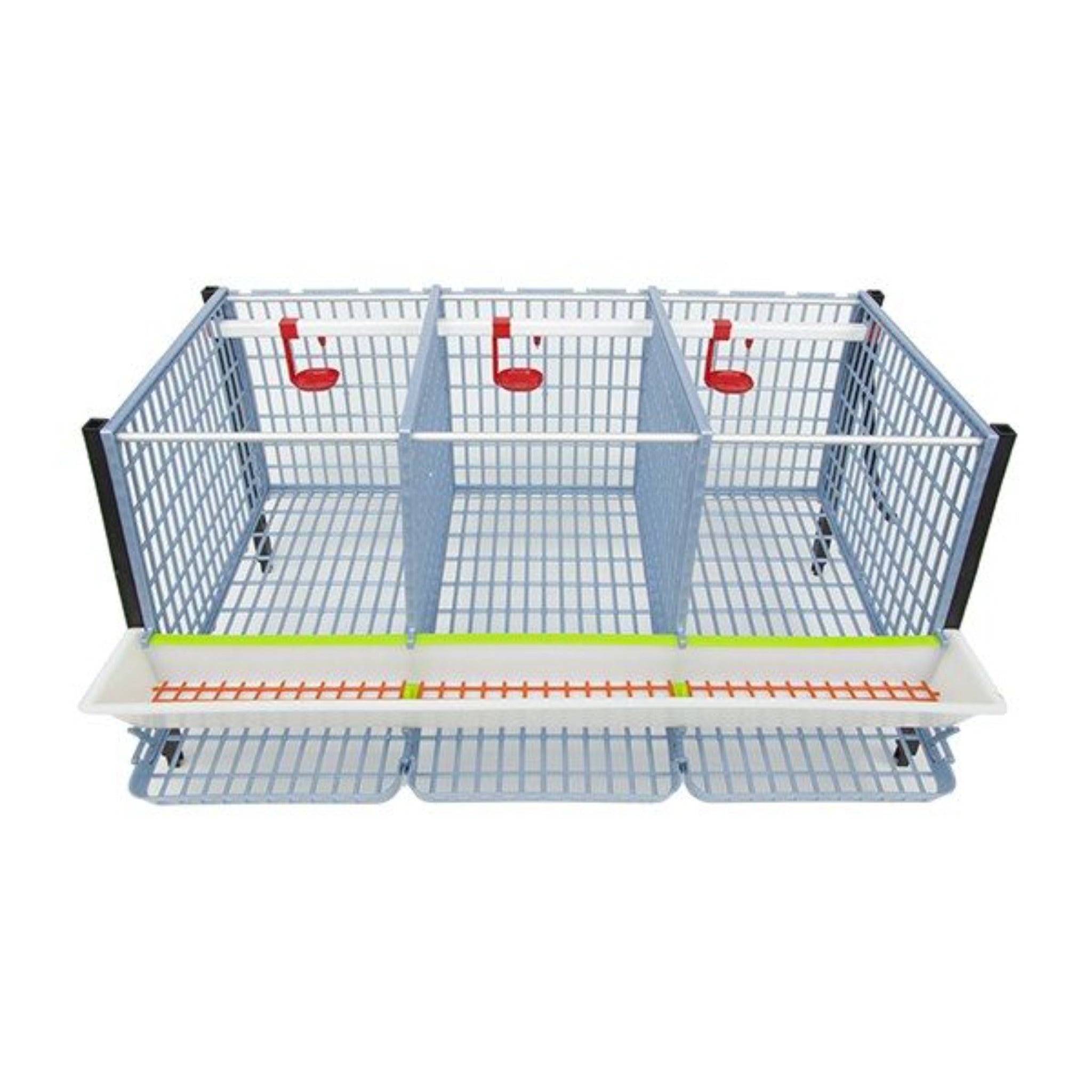 Hatching Time Cimuka. TYK40 15” Chicken cage 4 layer. Image shows chicken cage from front and above. Roof and front walls are removed to show inside of cage. Roll out egg trays can be seen on front under feeding trough. Automatic drinker system is seen on back wall of cage.