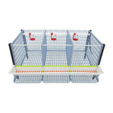 Hatching Time Cimuka. TYK40 15” Chicken cage 4 layer. Image shows chicken cage from front and above. Roof and front walls are removed to show inside of cage. Roll out egg trays can be seen on front under feeding trough. Automatic drinker system is seen on back wall of cage.