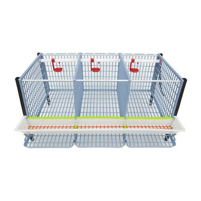 Chicken Cage - 2 Layer H: 15" Inside View - Hatching Time