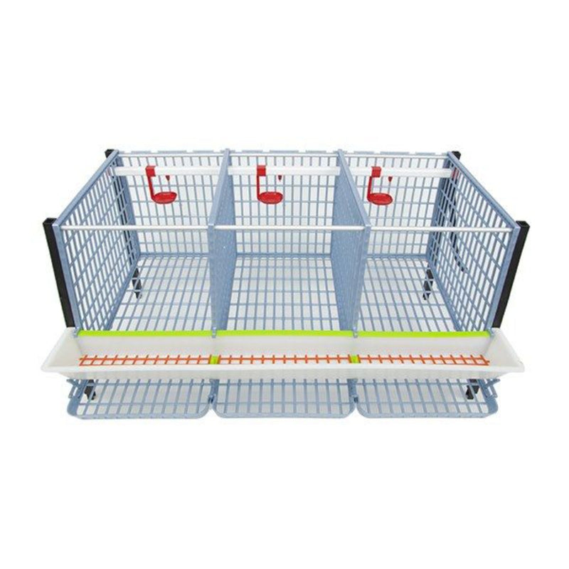Chicken Cage - 4 Layer H: 15" - Hatching Time