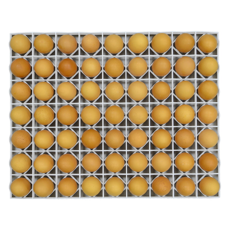 Egg Setter Tray - Chicken - 80 eggs - Hatching Time